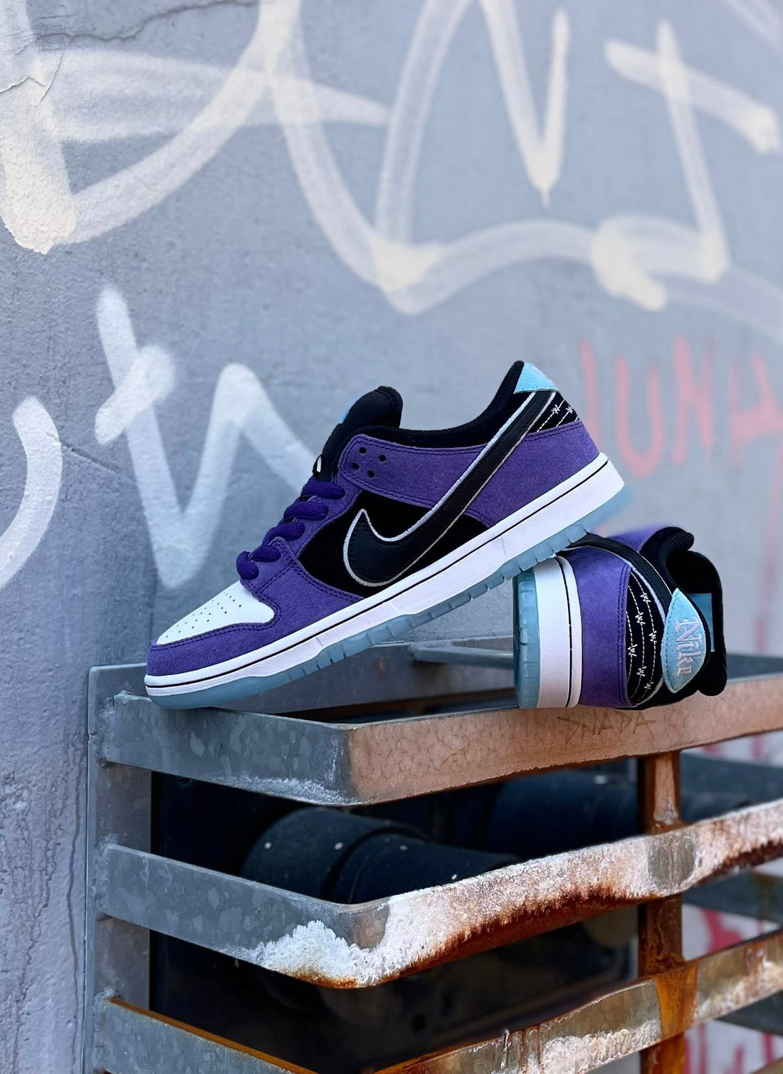 Nike SB X Hayley Wilson Dunk Low