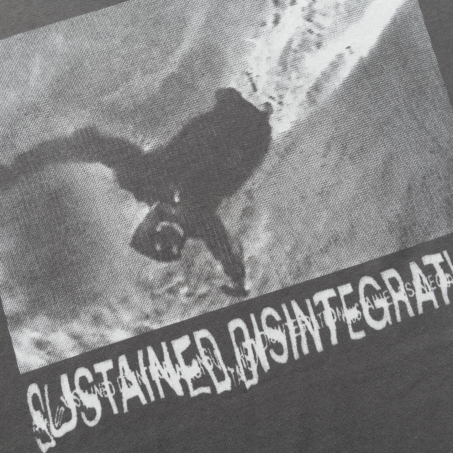 Polar Sustained Disintegration T-Shirt Graphite
