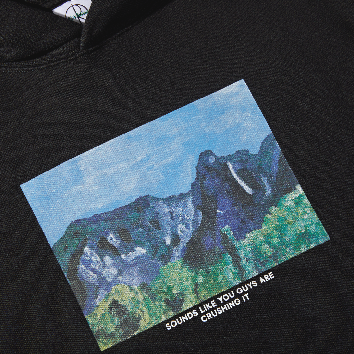 Polar Sounds Like You Guys Are Crushing It Ed Hoodie Black