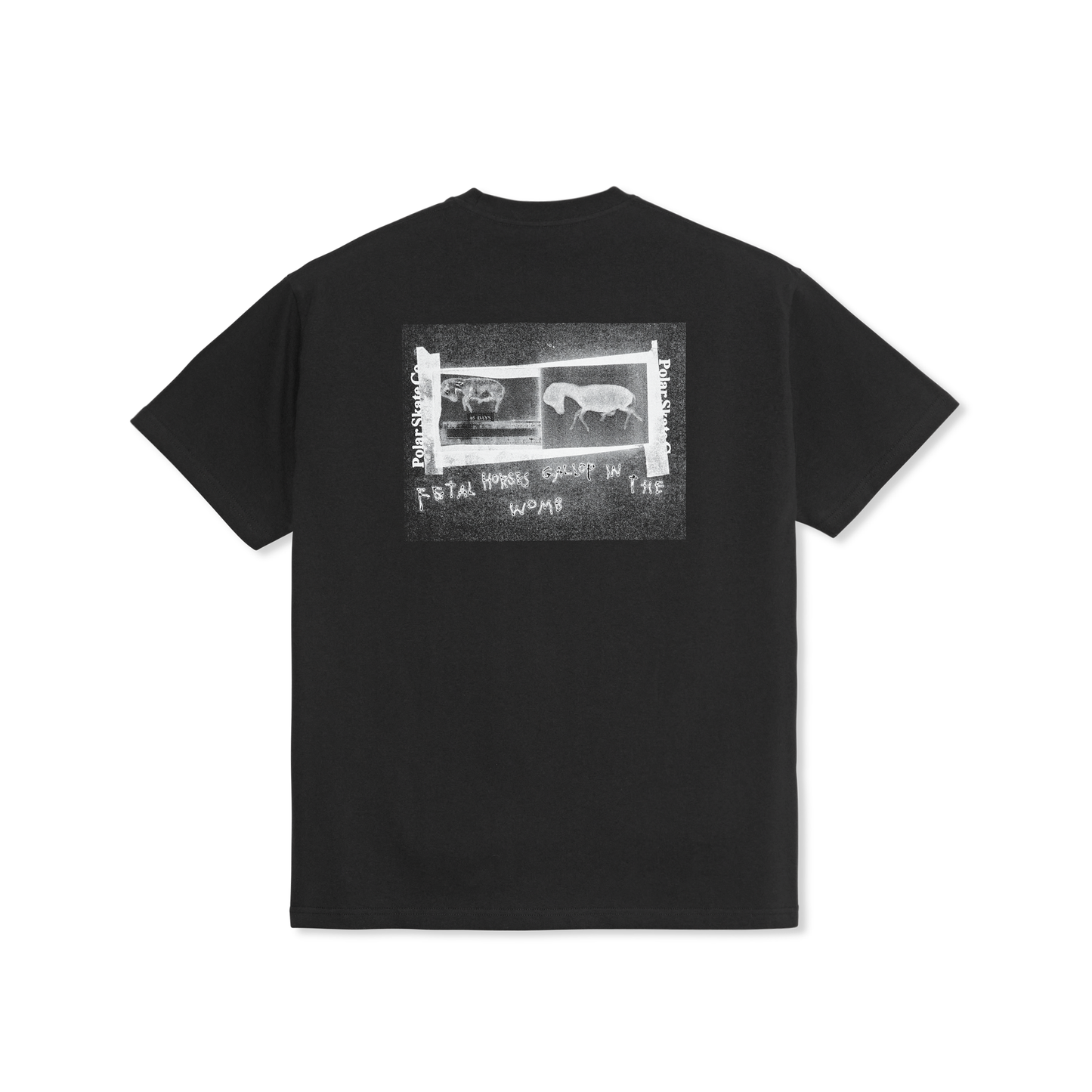 Polar Beautiful Horses T-Shirt Black