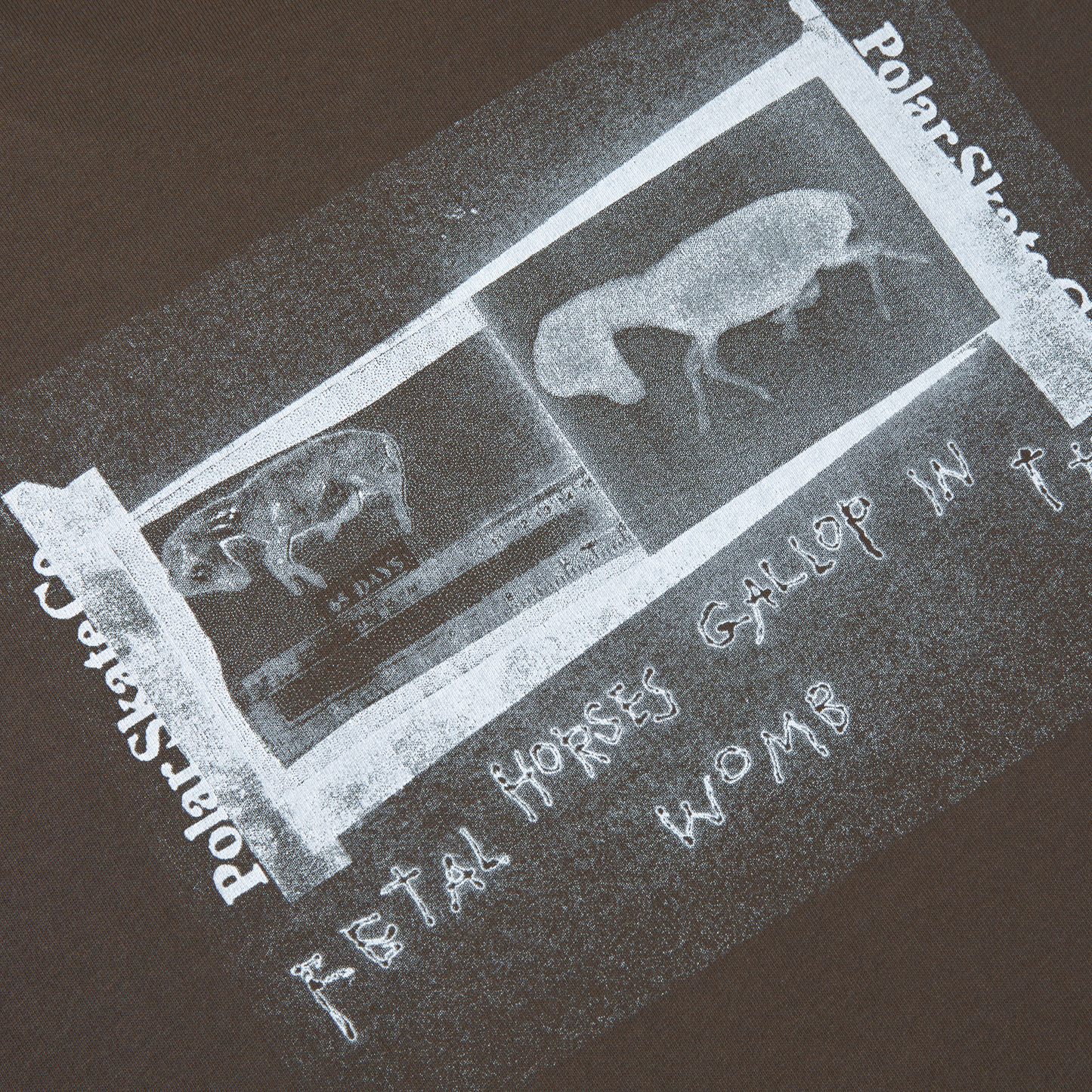 Polar Beautiful Horses T-Shirt Chocolate