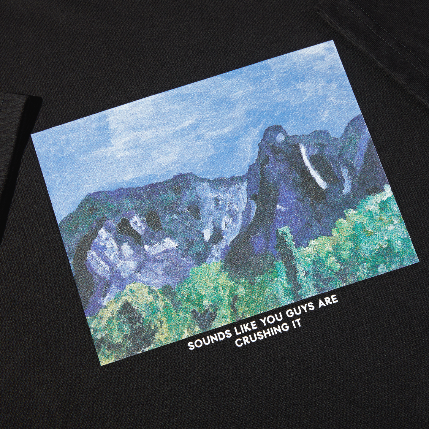 Polar Sounds Like You Guys Are Crushing It T-Shirt Black