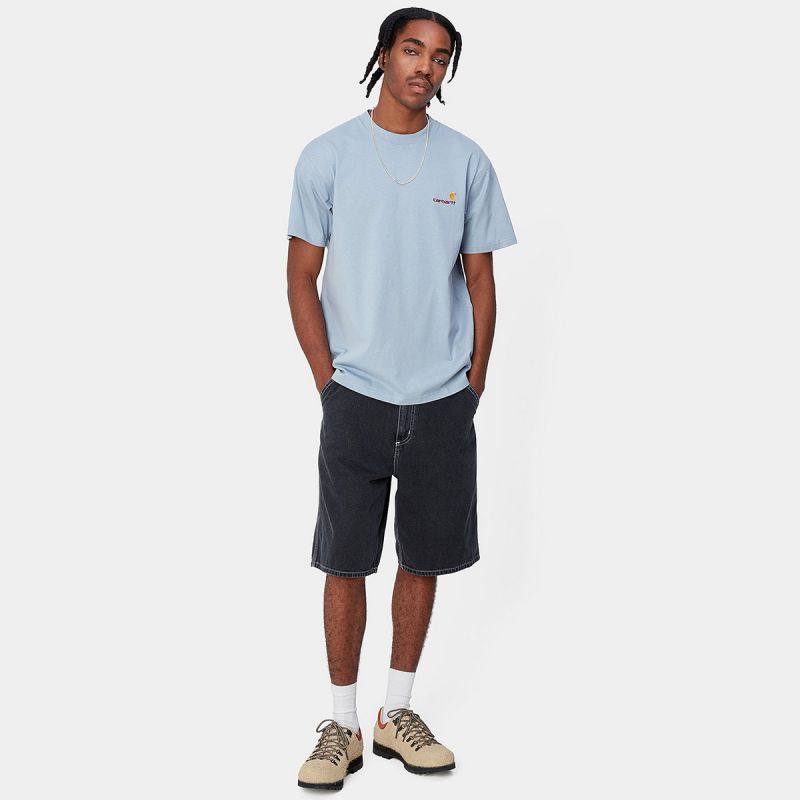 Carhartt WIP American Script T-Shirt Frosted Blue