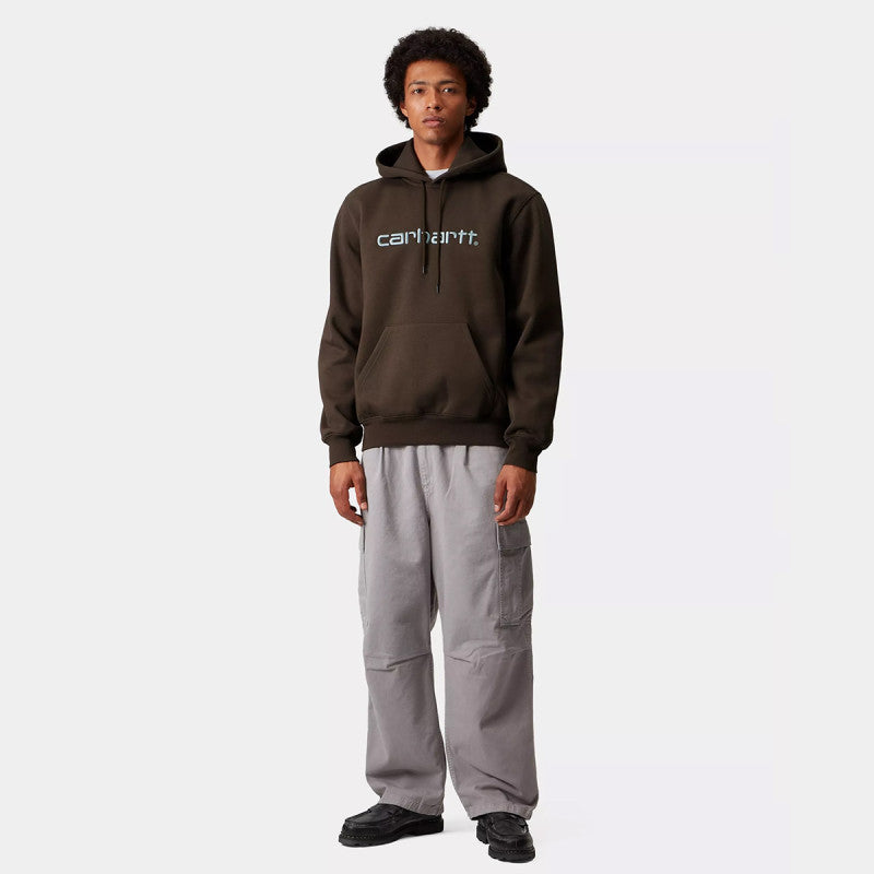 Carhartt WIP Carhartt Hooded Sweater Vitola/Citadel
