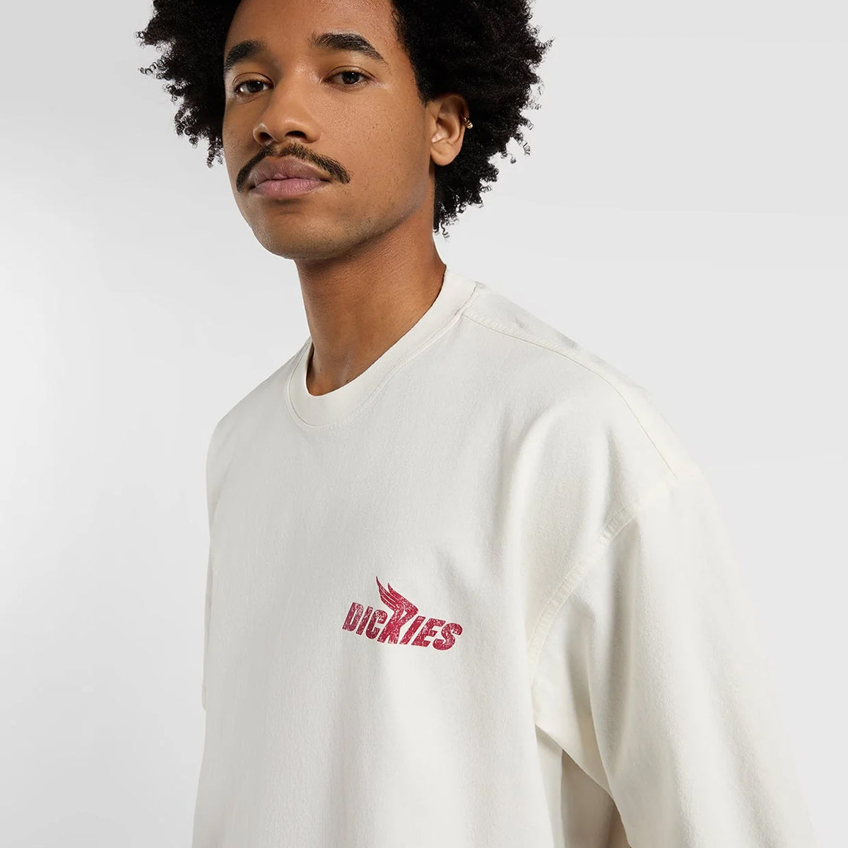 Dickies Shonto T-Shirt Egret