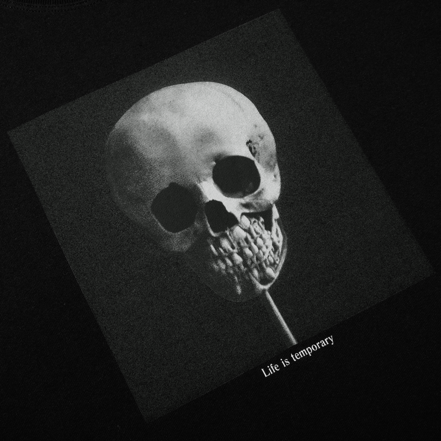 Polar Morphology T-Shirt Black