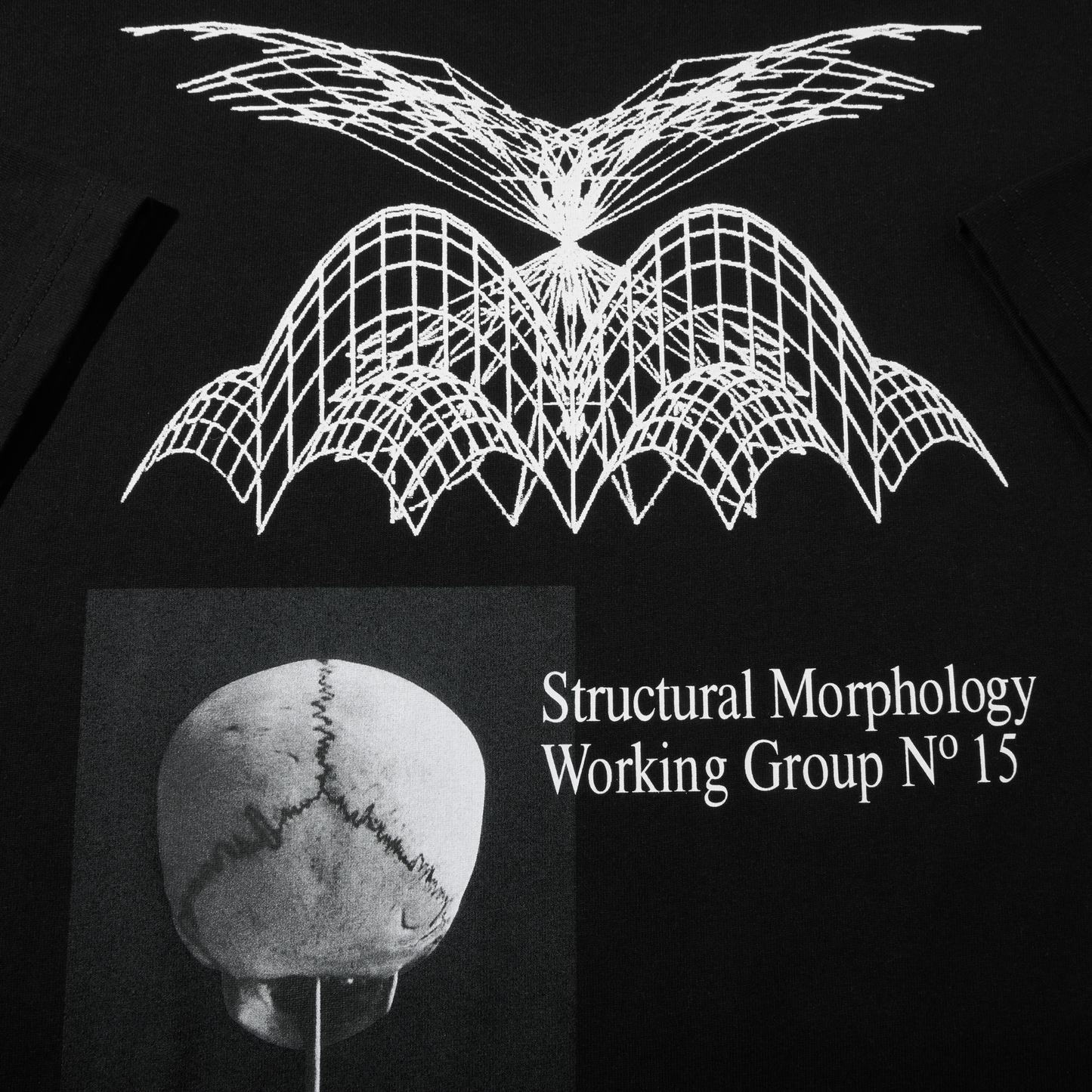 Polar Morphology T-Shirt Black