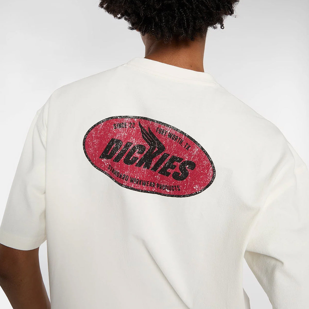 Dickies Shonto T-Shirt Egret