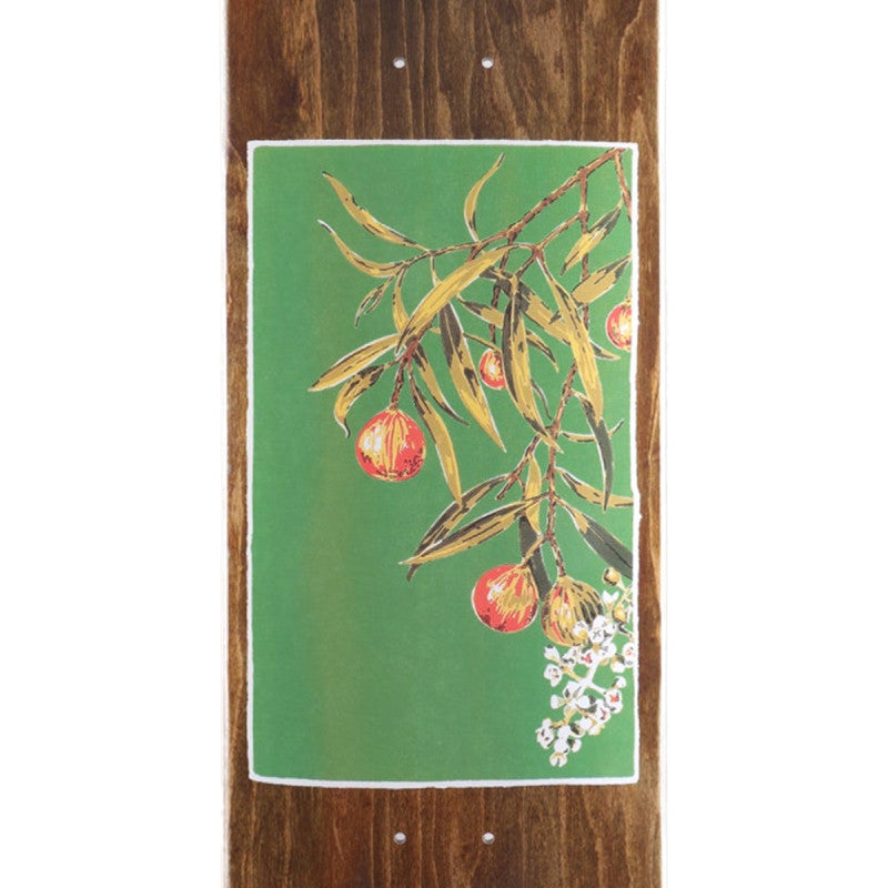 Pass Port Native Fruit Series Quandong Skateboard Deck 8.5