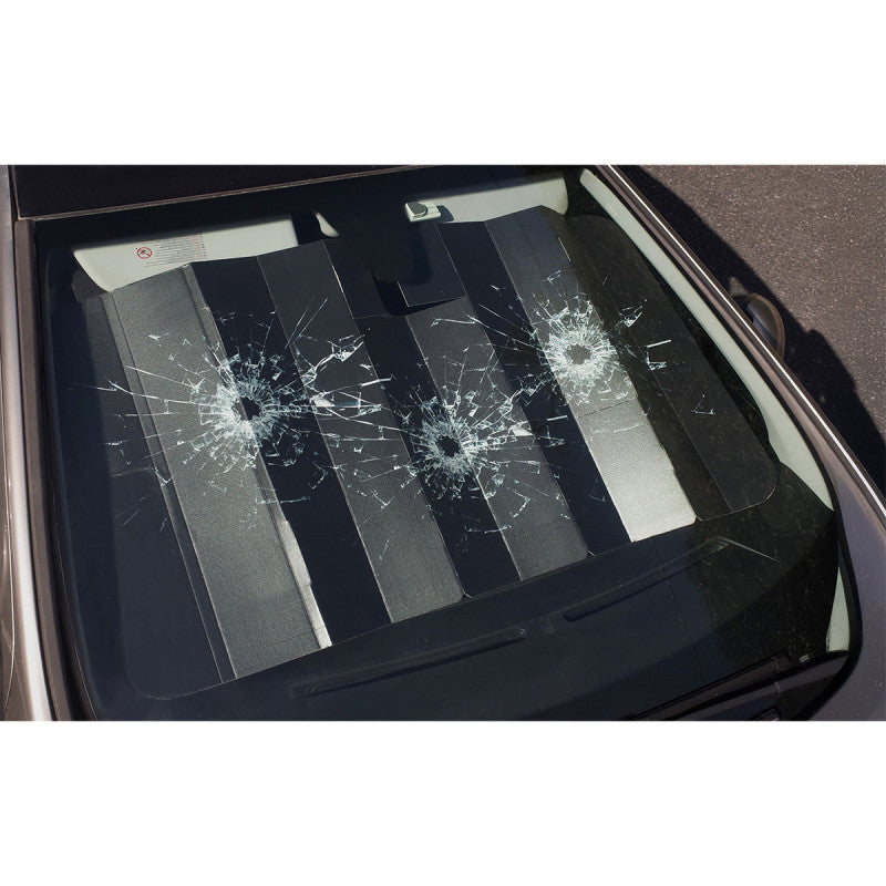 Token Cali Dewitt Windshield Visor Multi