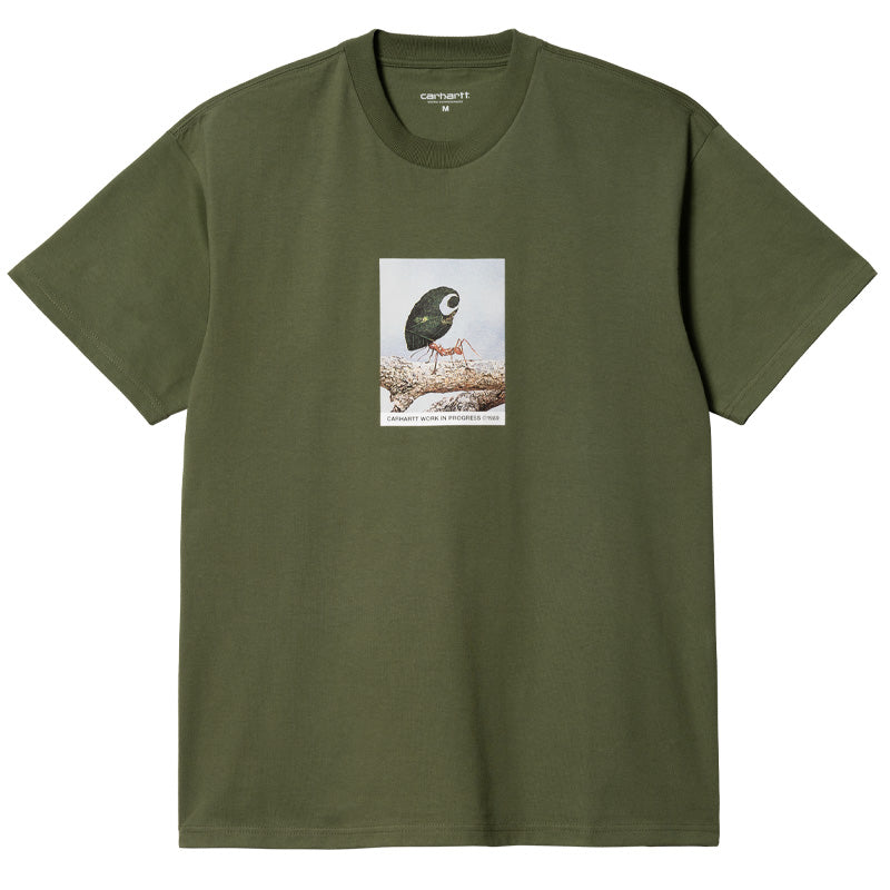 Carhartt WIP Antleaf T-Shirt Dollar Green