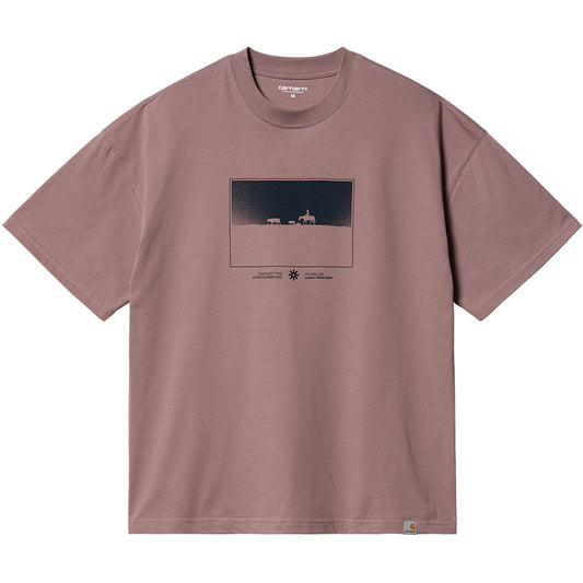 Carhartt WIP Nomads T-Shirt Lupinus