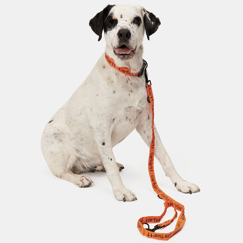 Carhartt WIP Script Dog Leash & Collar Carhartt Orange/Black
