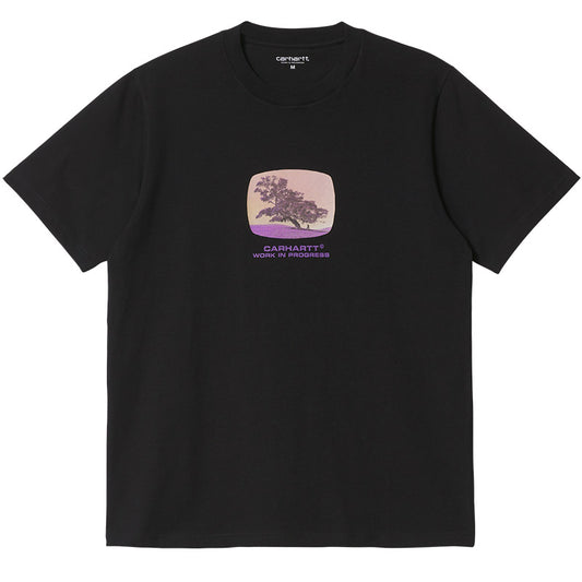 Carhartt WIP Seeds T-Shirt Black